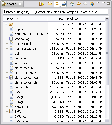 File View Initialized to the Job's Remote Directory