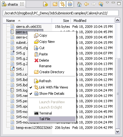 Tailing Files on a Remote System